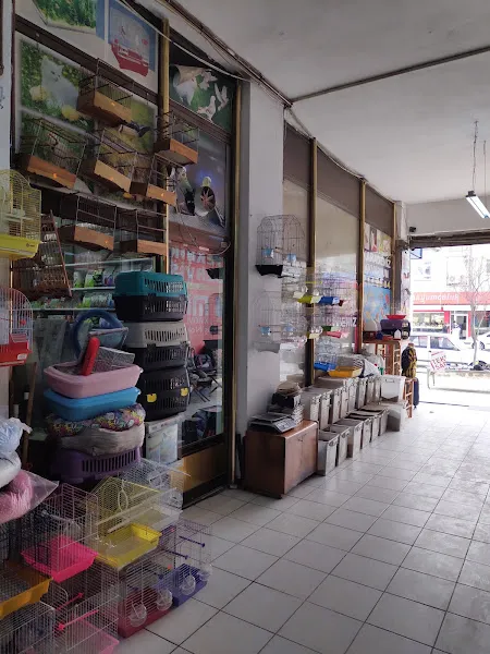 ETİMESGUT PETSHOP AKVARYUMCU KEDİ KUŞ MAMA foto 1