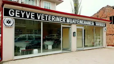 Geyve Veteriner Muayenehanesi