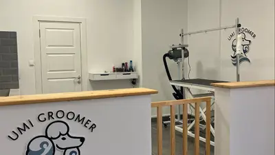 Umi Groomer & Pet Kuaför Salonu