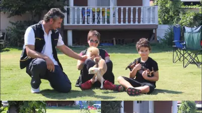 Kuzey Dog Club fotoğrafı