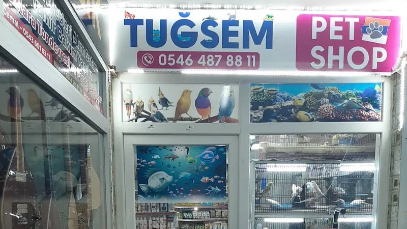 Yiğit Akvaryum & Kuş Galerisi foto 2
