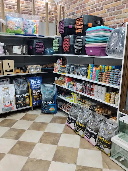 Defne'm Pet Shop foto 2