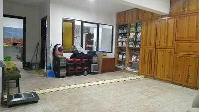 Mavi veteriner kliniği