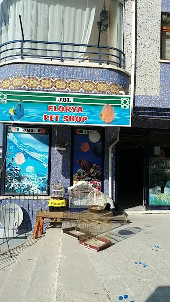 Florya Akvaryum Petshop foto 1