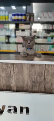 Erciyes Veteriner Kliniği