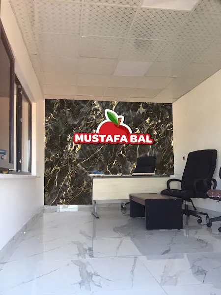 mustafa bal hayvancılık foto 1