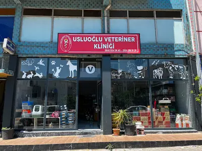 Kore Veteriner