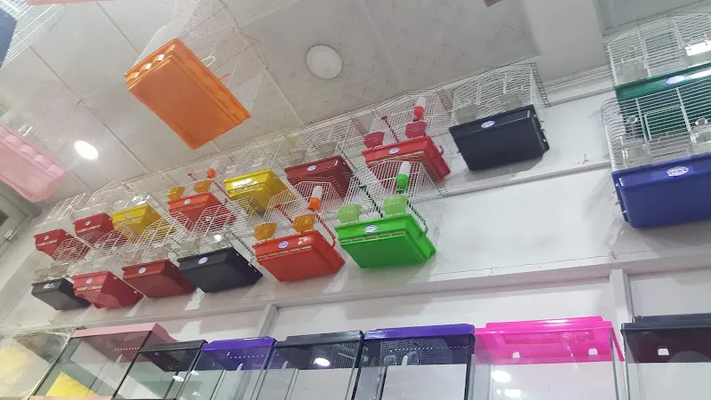 Aydemir Petshop foto 2