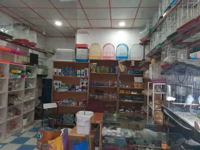 Dostlar petshop