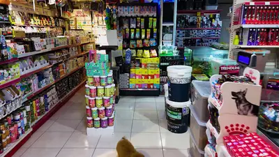 Çankaya Petshop