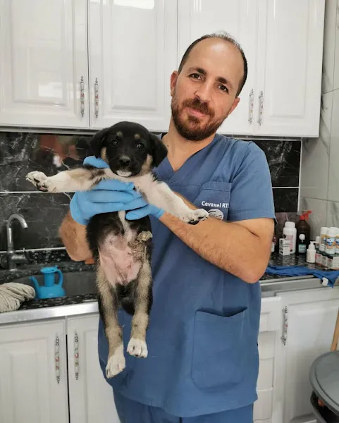 Par-in Veteriner Kliniği foto 2