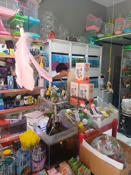 KOCAMANLAR PETSHOP foto 2