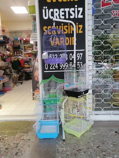 Pati Bakkalı Pet Shop foto 2