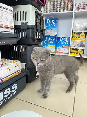 ÇAKIL VETERİNER KLİNİĞİ