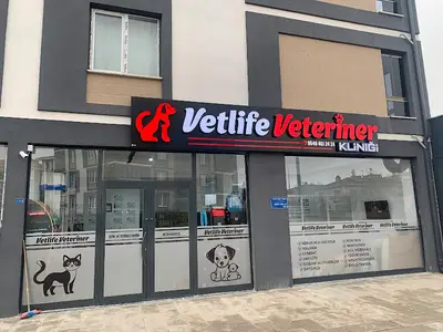 Vetlife Veteriner Kliniği ERZİNCAN
