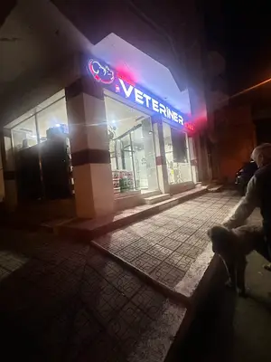 Altınordu veteriner kliniği