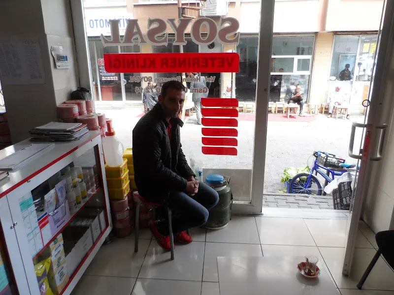Soysal Veteriner Kliniği foto 2