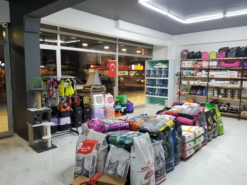 Limon Petshop foto 2