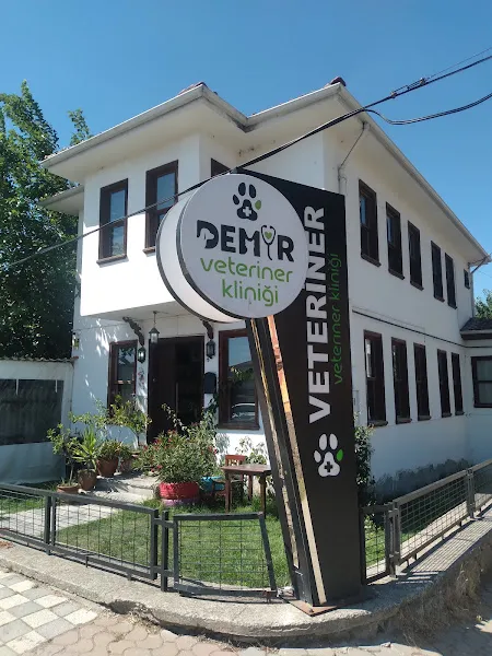Geyve Demir Veteriner Kliniği foto 2