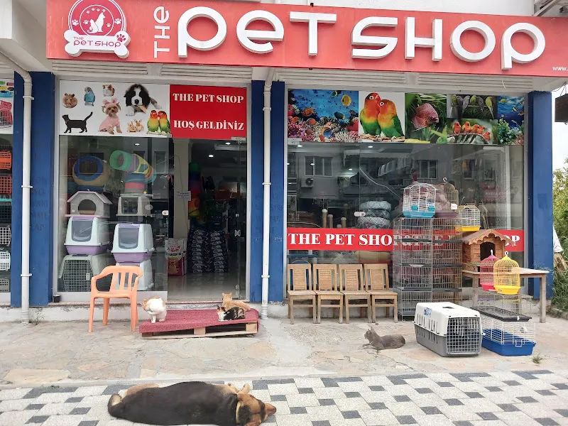 Happy Tails Pet foto 1