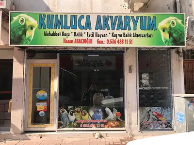 Kumluca Akvaryum-Petshop