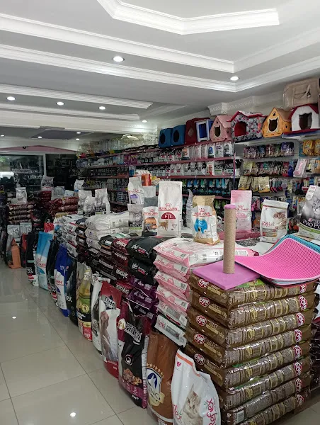 THE PET SHOP foto 2