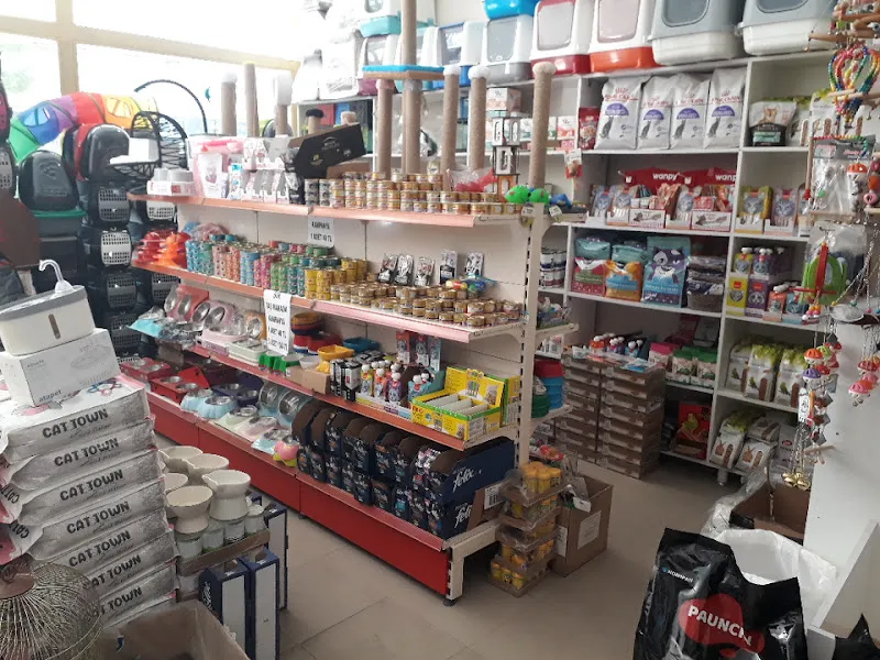 Yıldız petshop foto 2
