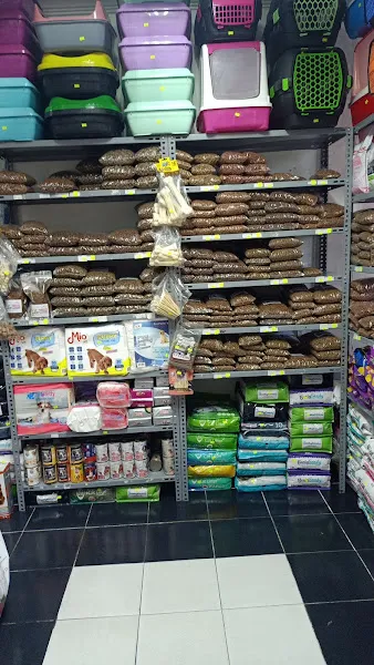 Güzelyurt Petshop foto 2