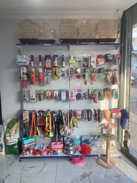 Bulut petshop foto 2