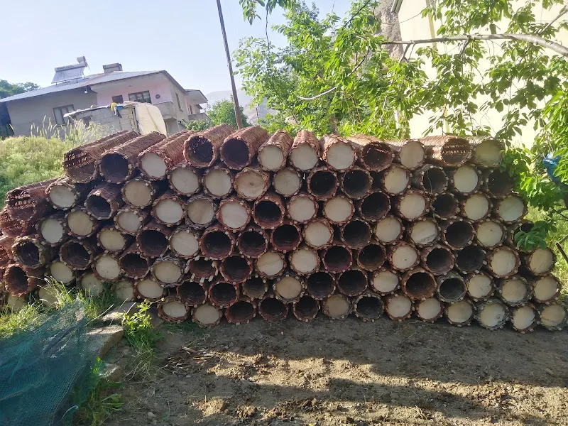 Çatak Patili Park foto 2