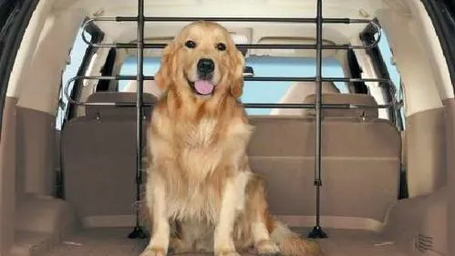 Pati Taksi Petshop Taşıma foto 1