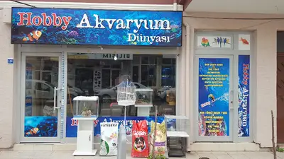 Hobby Akvaryum