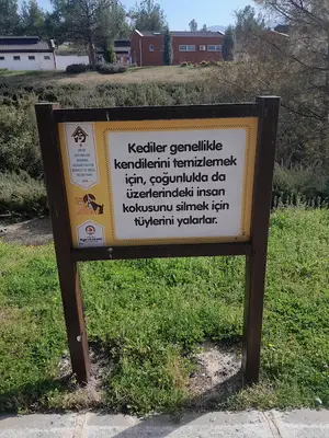 Denizli bşb. Sokak Hayvanlari Rehabilitasyon Merkezi