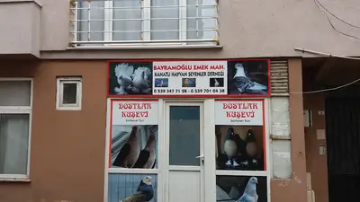 Bayramoğlu Emek Mah. Kanatlı Hayvan Severler Derneği