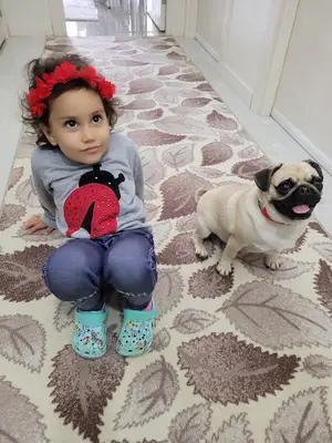 Ankara_kopek_egitim fotoğrafı