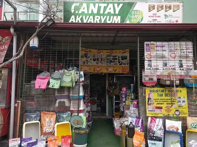 Mga Pet & Akvaryum