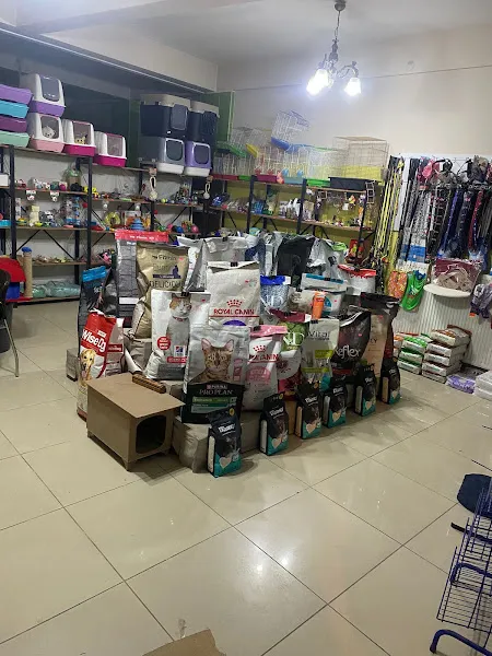 Diplomalı Petshop foto 2