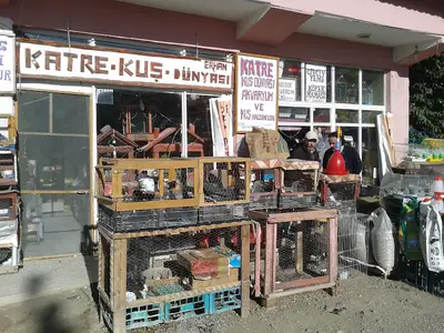Katre Kuş Dünyası ve Akvaryum