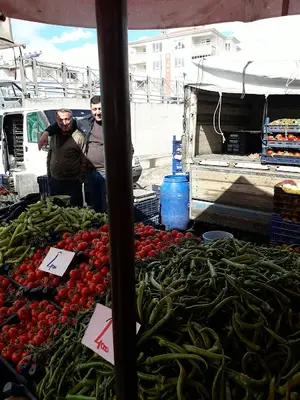 Hayvan Pazarı