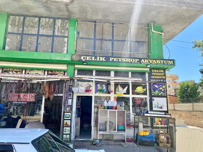 Çelik Petshop Akvaryum fotoğrafı
