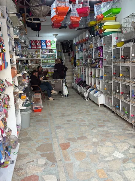 Çelik Petshop Akvaryum foto 2