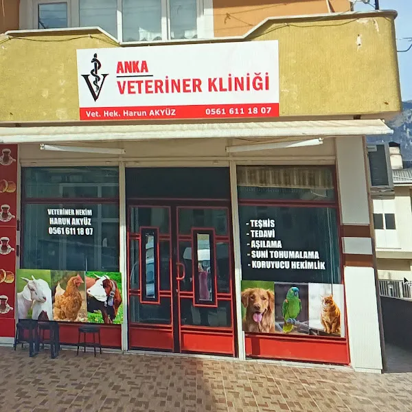 ANKA VETERİNER KLİNİĞİ foto 1