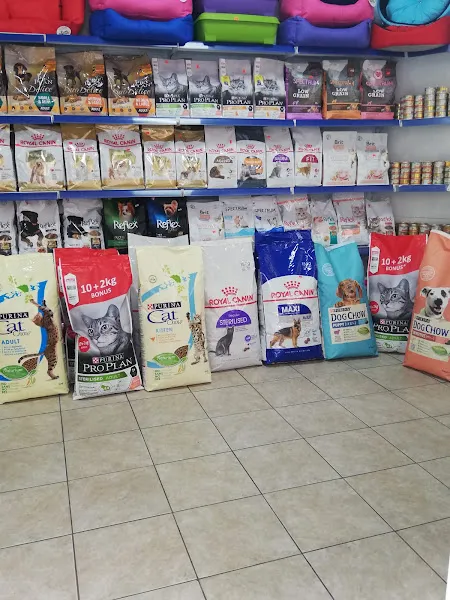 Foks Pet House foto 2