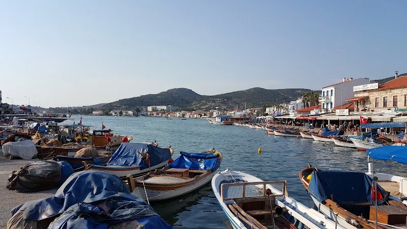 Aliağa Hayvan Barınakları foto 2