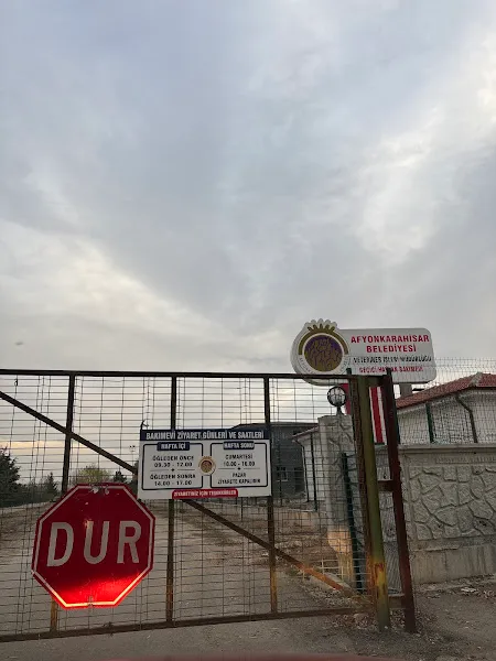 Afyon belediyesi hayvan barınağı foto 2