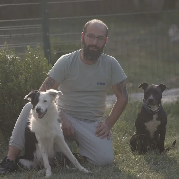 KÖPEK EĞİTİM foto 1