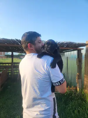 E.N.S pet otel