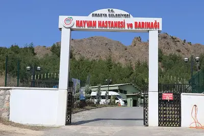Amasya Hayvan Sağlığı Şubesi Müdürlüğü