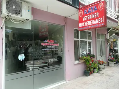 Kaya Veteriner Muayenehanesi