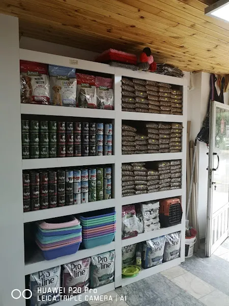 Ereğli Petshop foto 2